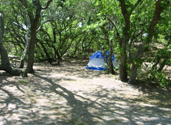 a tent set up in a First Landing campsite