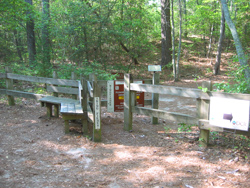 a trail entrance off of the Cape Henry Trail