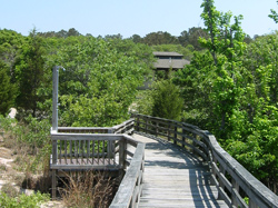 a boardwalk and outdoor shower at First Landing State Park